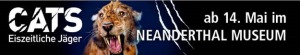 Bild 1 - Stiftung Neanderthal Museum - 